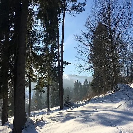 W Białce Woodhouse Domek alpejski *